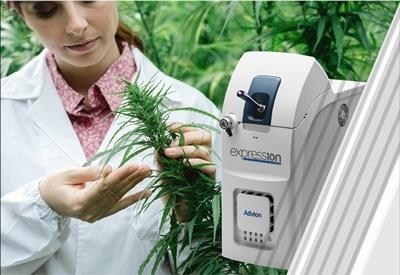 วิเคราะห์กัญชาเพื่อหาสารออกฤทธิ์ด้วย expression Compact Mass Spectrometer