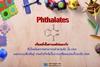 สาร Phthalates เป็นหนึ่งในสารเคมีก่อมะเร็งที่เป็นอันตรายสามารถทำลายตับ, ไต, ปอด และระบบสืบพันธุ์ รวมถึงปัจจัยในการเปลี่ยนแปลงในระดับ DNA 